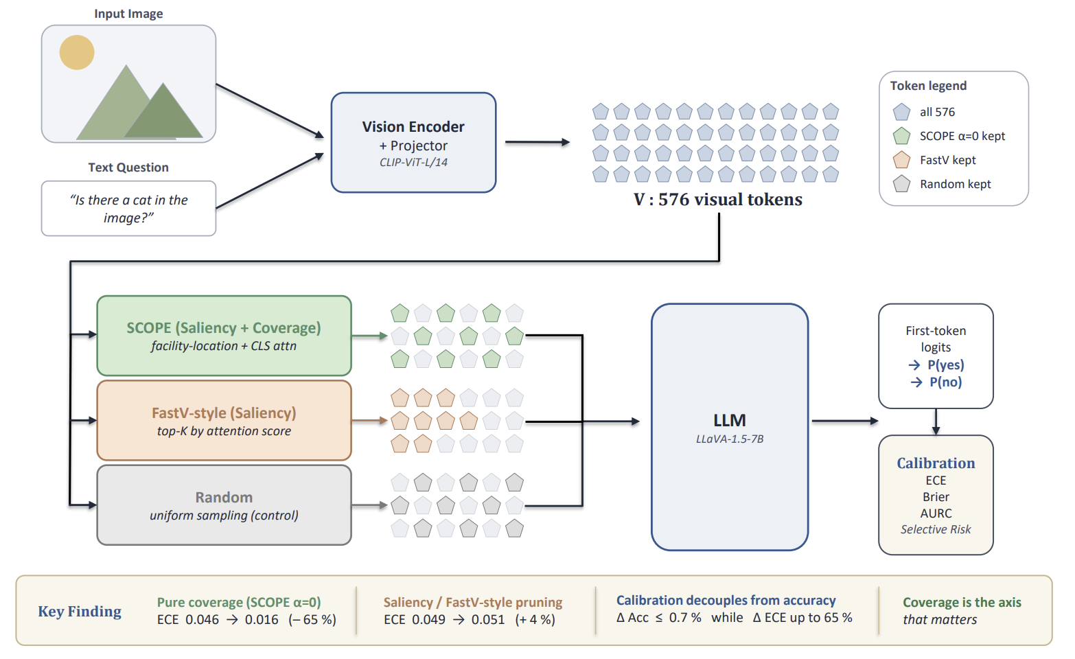 token pruning calibration