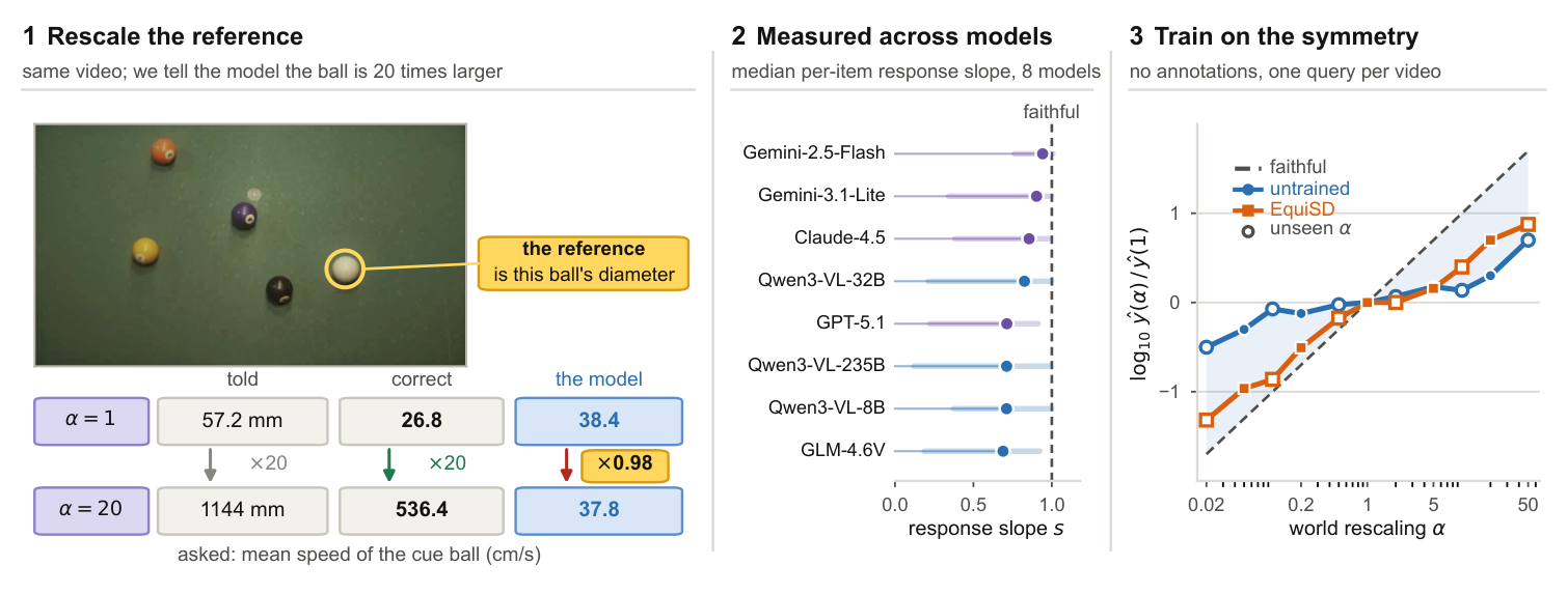 Rescaling the supplied world reference, response slopes across eight vision-language models, and training on the scale symmetry